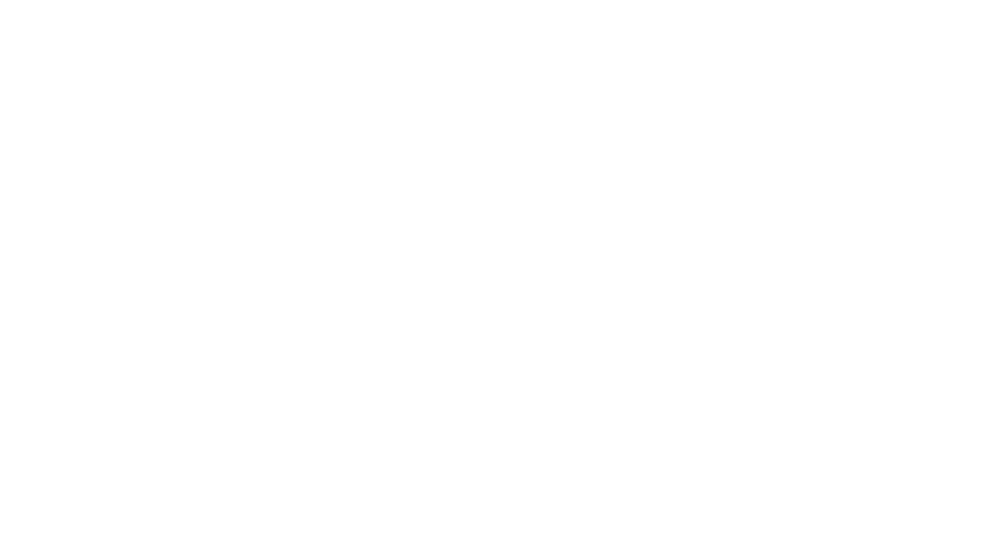theeme-logo